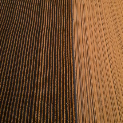 Imagen PNG para descargar